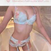 ヒメ日記 2025/11/21 11:45 投稿 一ノ瀬 あむ ライオンズクラブ