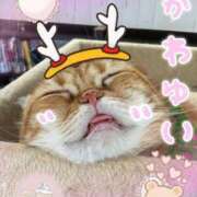 ヒメ日記 2025/07/14 03:48 投稿 島袋れな 恋する妻たち