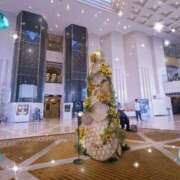 ヒメ日記 2025/08/20 14:28 投稿 島袋れな 恋する妻たち