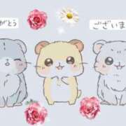 ヒメ日記 2025/08/26 19:08 投稿 島袋れな 恋する妻たち