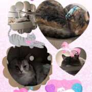 ヒメ日記 2025/08/06 08:01 投稿 めい 沼津人妻花壇