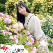 ヒメ日記 2025/08/09 10:36 投稿 めい 沼津人妻花壇