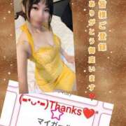 ヒメ日記 2025/08/27 09:18 投稿 めい 沼津人妻花壇