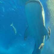 ヒメ日記 2026/01/21 11:20 投稿 めい 沼津人妻花壇