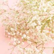 ヒメ日記 2025/06/16 20:15 投稿 かすみ タレントCLUB