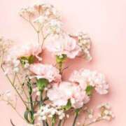 ヒメ日記 2025/07/12 20:15 投稿 かすみ タレントCLUB