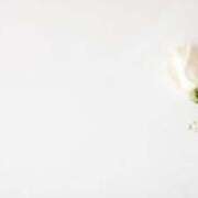 ヒメ日記 2025/08/12 19:15 投稿 かすみ タレントCLUB