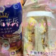 ヒメ日記 2025/07/19 09:27 投稿 さくや 北九州人妻倶楽部（三十路、四十路、五十路）