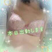 ヒメ日記 2025/09/13 07:42 投稿 さくや 北九州人妻倶楽部（三十路、四十路、五十路）