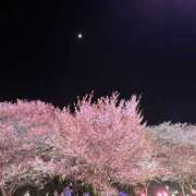 ヒメ日記 2026/03/17 21:15 投稿 ゆあ 僕のぽっちゃり伝説