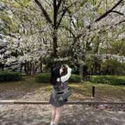 ヒメ日記 2026/04/25 03:09 投稿 まこ セレブクエスト‐Kasukabe‐
