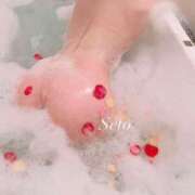 ヒメ日記 2025/07/20 20:00 投稿 せと INFINITY GOLD～インフィニティゴールド～