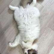 ヒメ日記 2025/08/08 22:49 投稿 れお（れお） でりどす