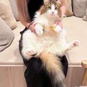 ヒメ日記 2025/09/13 18:08 投稿 れお（れお） でりどす