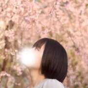 ヒメ日記 2026/04/02 19:32 投稿 夢衣もな LUXE(リュクス)