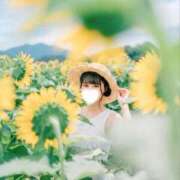 ヒメ日記 2026/09/15 20:42 投稿 夢衣もな LUXE(リュクス)