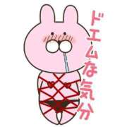 ヒメ日記 2025/06/19 18:37 投稿 のえる 山口下関ちゃんこ