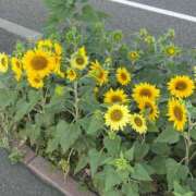 ヒメ日記 2025/07/21 16:39 投稿 夏川由良 お姉さんCLUB