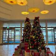 ヒメ日記 2025/11/17 17:48 投稿 夏川由良 お姉さんCLUB