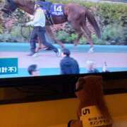 ヒメ日記 2025/12/01 00:03 投稿 夏川由良 お姉さんCLUB