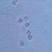 ヒメ日記 2025/12/22 08:18 投稿 夏川由良 お姉さんCLUB