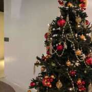 ヒメ日記 2025/12/23 00:33 投稿 夏川由良 お姉さんCLUB