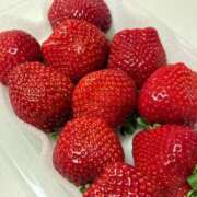 ヒメ日記 2026/01/21 18:12 投稿 夏川由良 お姉さんCLUB