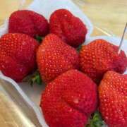 ヒメ日記 2026/02/21 07:12 投稿 夏川由良 お姉さんCLUB