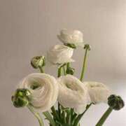 ヒメ日記 2026/04/20 15:18 投稿 夏川由良 お姉さんCLUB