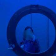 ヒメ日記 2025/11/26 15:47 投稿 悠里【ユウリ】 LOVEキタ兎我野店