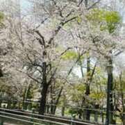 悠里【ユウリ】 桜🌸 LOVEキタ兎我野店