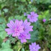 ヒメ日記 2026/04/19 16:54 投稿 あすか★沖縄の綺麗な姉系人妻 かりゆしOLの秘密【20代沖縄美女多数在籍-デリヘル×ヌードエステ】