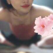 ヒメ日記 2025/11/02 20:46 投稿 れもん 花影（かえい）