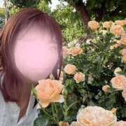 ヒメ日記 2025/06/16 20:34 投稿 みさき 花夫人