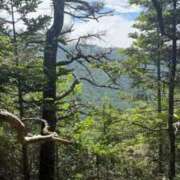 ヒメ日記 2025/07/18 01:28 投稿 みさき 花夫人