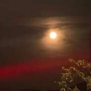 ヒメ日記 2025/08/10 16:33 投稿 みさき 花夫人