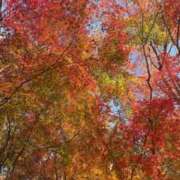 ヒメ日記 2025/12/01 18:37 投稿 みさき 花夫人