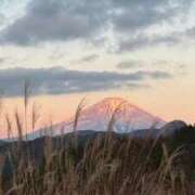 ヒメ日記 2025/12/16 00:32 投稿 みさき 花夫人