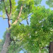 みさき お久しぶりです🌳 花夫人