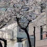 ヒメ日記 2026/03/29 16:45 投稿 のぞみ 品川ミセスアロマ（ユメオト）