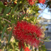 ヒメ日記 2025/07/19 22:30 投稿 えりか 奥鉄オクテツ神奈川店（デリヘル市場グループ）