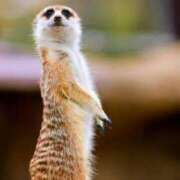 ヒメ日記 2025/06/30 18:14 投稿 れな 千葉 魅惑の人妻