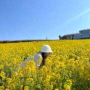 ヒメ日記 2025/06/16 21:20 投稿 はる☆恋人のような空間を貴方に Hills Premier