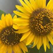 ヒメ日記 2025/06/16 18:52 投稿 まこ 妻天 尼崎店