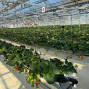 ヒメ日記 2025/06/21 11:51 投稿 マリノ Tiara 姫路