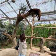 ヒメ日記 2025/06/17 12:55 投稿 みか 京都祇園・南インターちゃんこ