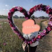 ヒメ日記 2025/06/18 14:28 投稿 みか 京都祇園・南インターちゃんこ