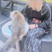 ヒメ日記 2025/09/03 20:22 投稿 ゆうひ 制服天国（ユメオト）