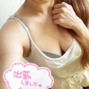 ヒメ日記 2025/09/17 12:15 投稿 ゆうか One More 奥様　西川口店