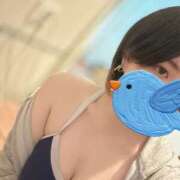 ヒメ日記 2025/08/13 21:20 投稿 みなと プールサイド